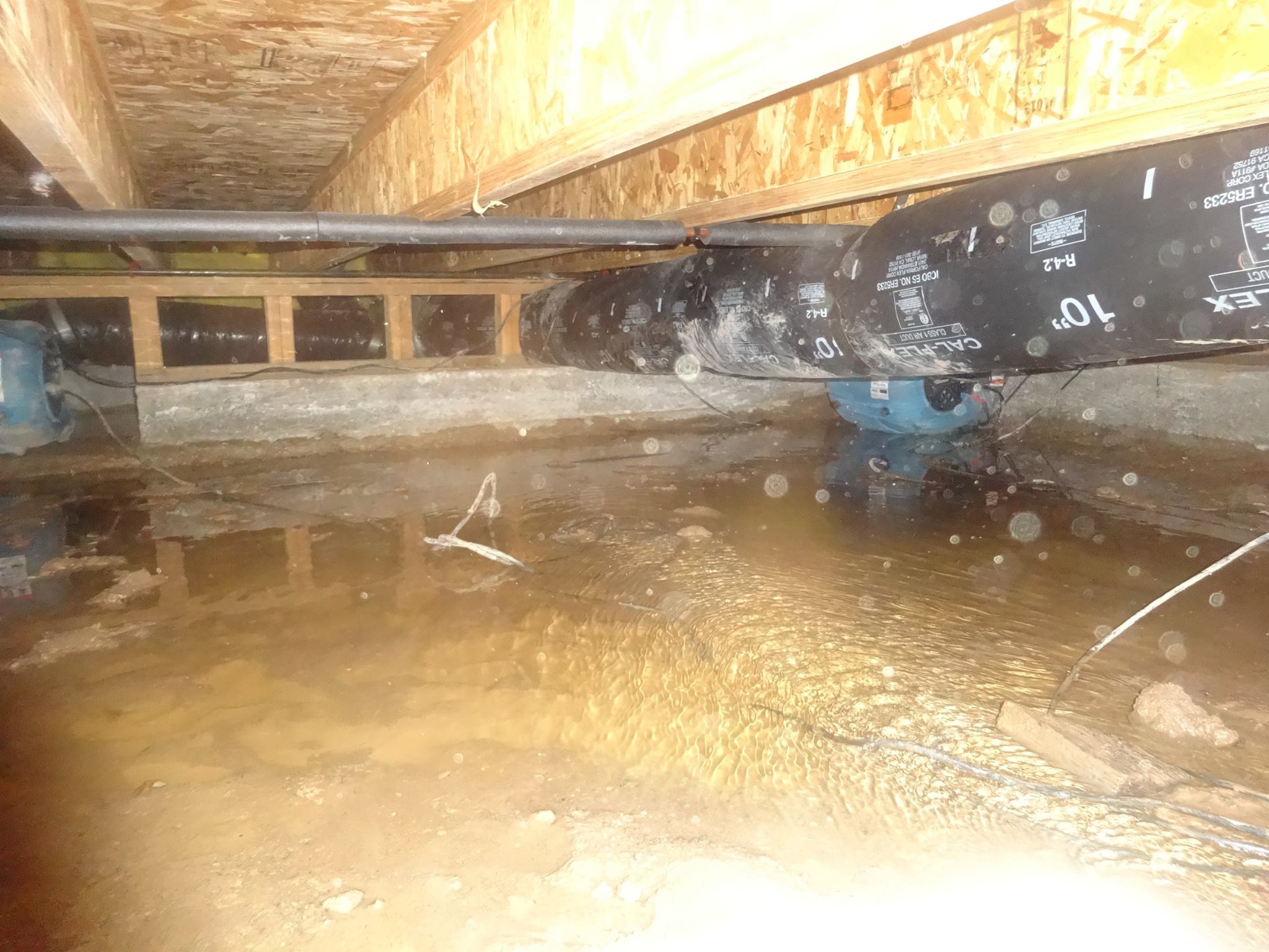 Crawl Space Cleanup | Nevada Water and Fire