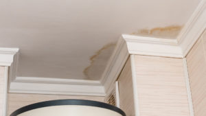 Water Damaged Home Interior