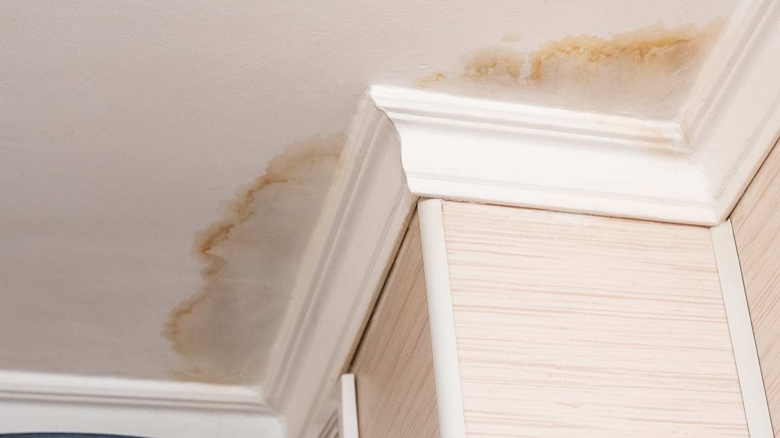 ceiling water damage nevada